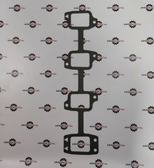 Прокладка впускного коллектора | 320/05550, 320/05521 | Aries