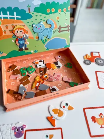 Магнитная игра 