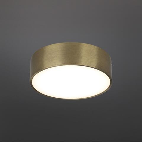 Потолочный светодиодный светильник Aployt Evon APL.0114.29.12