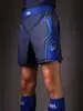 Шорты New Armor Союз ММА Синие