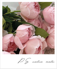 Открытка-карточка 