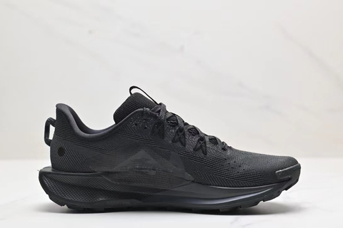 Nike Pegasus Trail 5 'Black' 