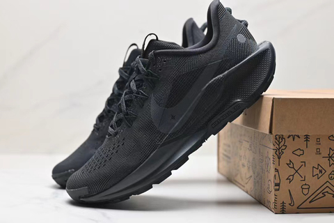 Nike Pegasus Trail 5 'Black' 