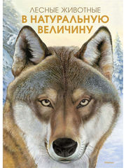 Лесные животные в натуральную величину