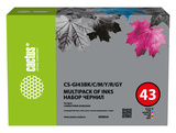 Чернила Cactus CS-GI43BK, C, M, Y, R, GY Голубой / Cyan/Пурпурный / Magenta, желтый, черный 6x60мл для Canon Pixma G640/G540