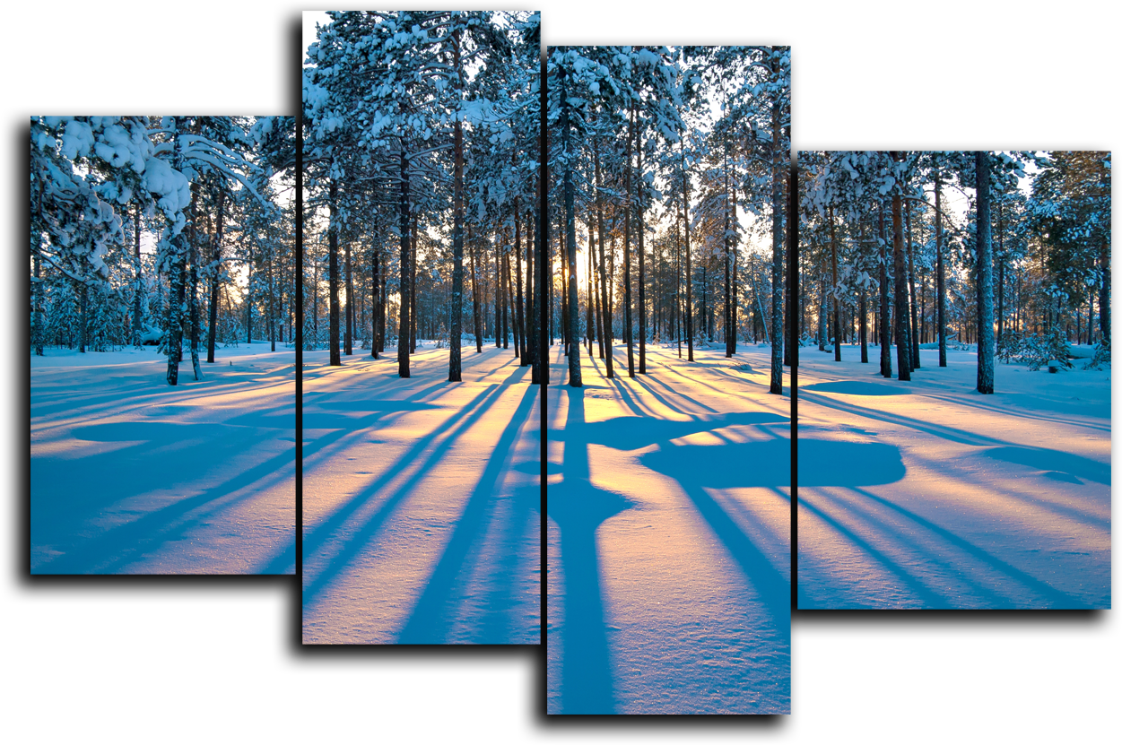 Природа Модульная картина "Лес зимой" М922.png