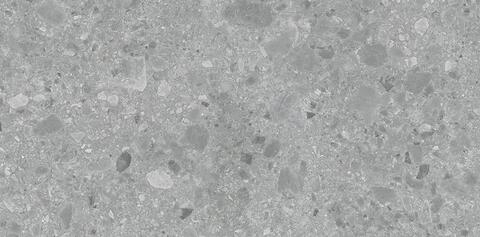 Art&Natura Ceppo Di Gre Gris Sand Coloured Body 60x120