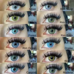 Bollena™ - FOREST (НОВИНКА!)