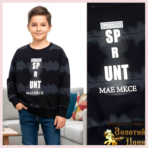 Свитшот трикотаж м (5-10) 251214-DS527