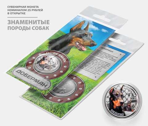 Сувенирная монета 25 рублей "Доберман" цветная с гравировкой в подарочной открытке