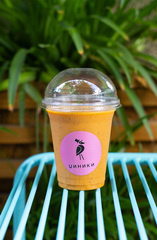 СМУЗИ "ИММУНИТЕТ" new