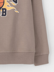 джемпер  для мальчика  КР 302392-1/коричневый