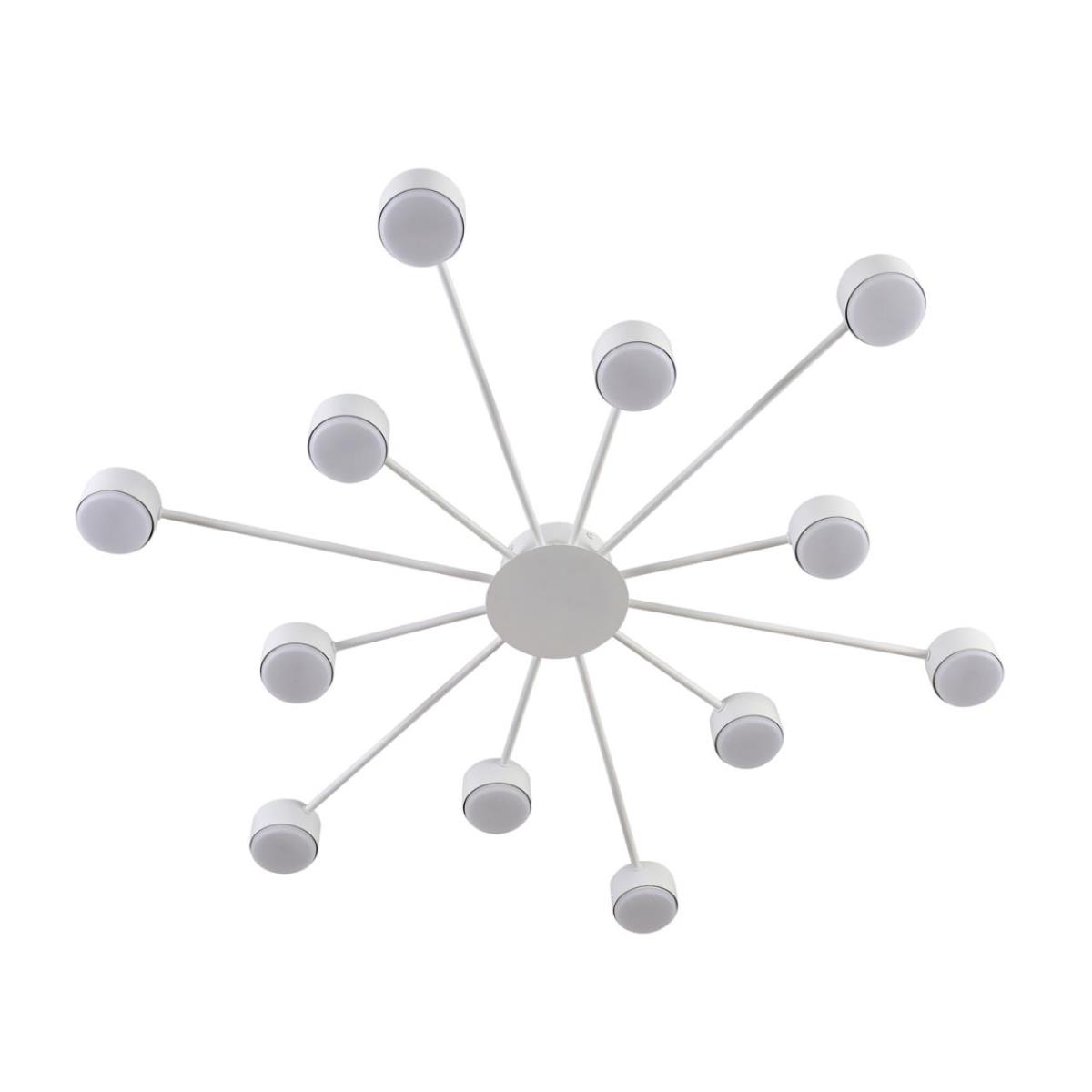 Люстра Lumion COMFI 8343/12C