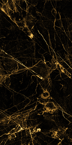 Черный Аист 2