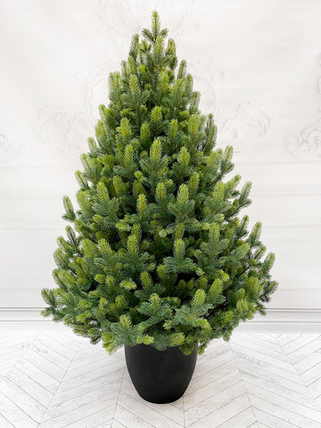 Ель TreeDeLuxe Кремлевская премиум 100% литая 120см в кашпо зеленая