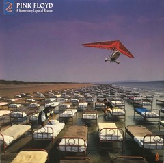 Pink Floyd / A Momentary Lapse Of Reason (Remixed & Updated)(2LP)