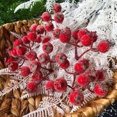 №2 Ягоды Шиповника зонтиком в сахарной обсыпке, на ветке 9 ягод по 15 мм, набор 5 шт.