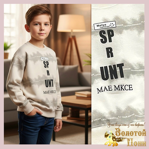 Свитшот трикотаж м (5-10) 251214-DS528