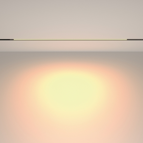 Магнитный трековый светильник Maytoni Exility Basis TR231-2-15W3K-B