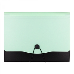 
          Папка-картотека Alingar, A4, 330х250 мм, на пуговице, пластик, 600 мкм, 13 отделений, папка-планшет, мятный клапан