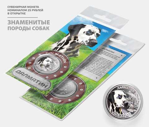 Сувенирная монета 25 рублей "Далматин" цветная с гравировкой в подарочной открытке