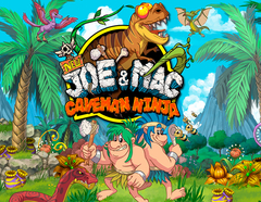 New Joe & Mac - Caveman Ninja (для ПК, цифровой код доступа)
