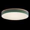 Потолочный светильник Loft It Axel 10001/36 Green