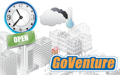 GoVenture MICRO BUSINESS (для ПК, цифровой код доступа)