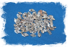 Насса серая