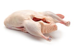 Утка фабричная