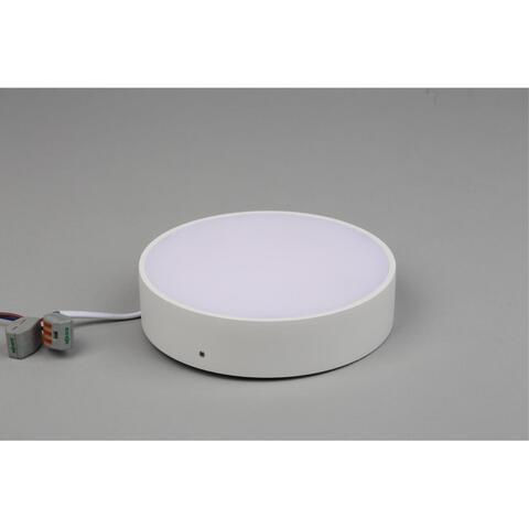 Потолочный светодиодный светильник Aployt Evon APL.0113.09.18