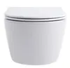 Aquatek SET Aquatek ЕВРОПА cmp011 SET Aquatek ЕВРОПА cmp011 (рама Aquatek Standard INS-0000012, клавиша KDI-0000011, крепеж KKI-0000002+унитаз ЕВРОПА AQ1106-00 с тонким сиденьем sc)