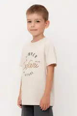 фуфайка  для мальчика  КР 302704/бежевый к544