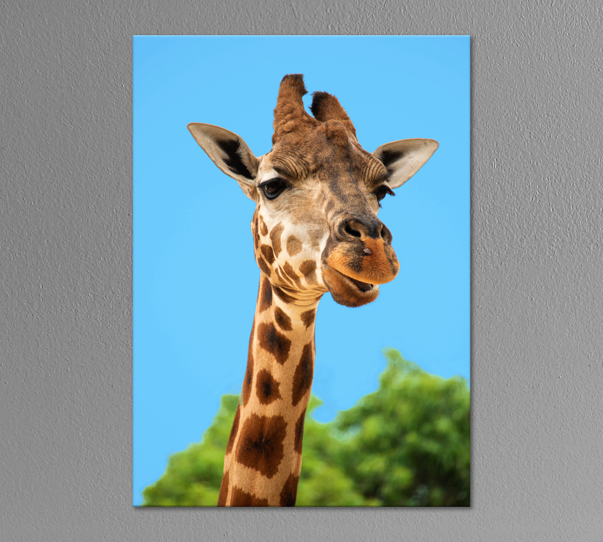Интерьерная картина Жираф
