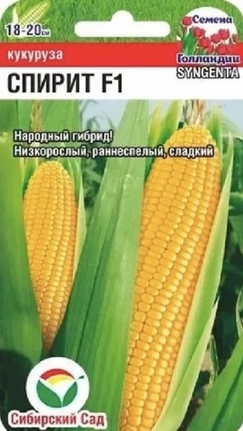 Семена Кукуруза Спирит F1 (Syngenta), цв 5 сем