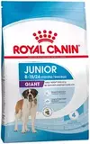 Сухой корм для щенков гигантских пород от 8 до 24мес Royal Canin 3,5 кг (Р)