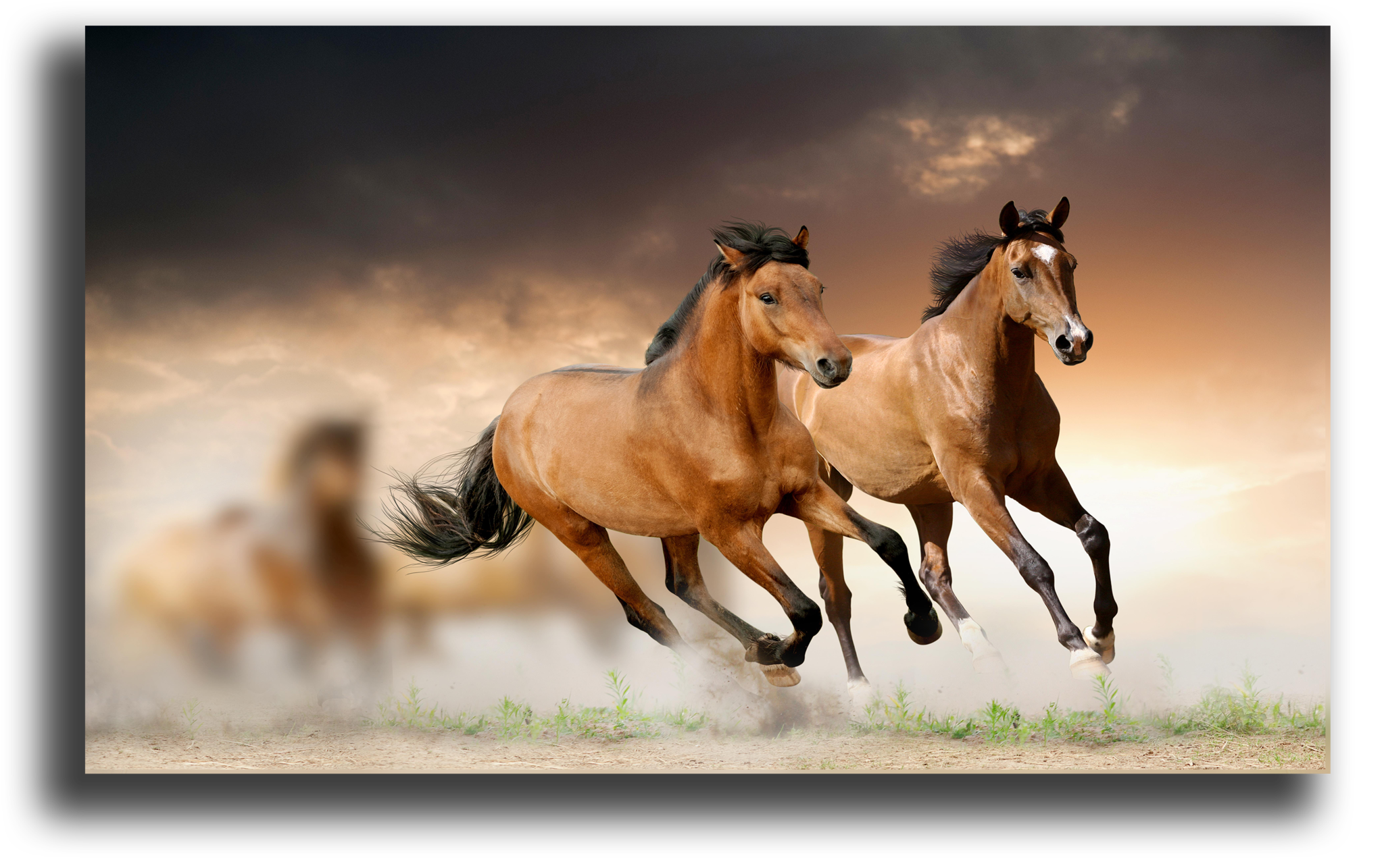 Модульная картина лошади. Триптих лошади. Картина бегущие лошади.