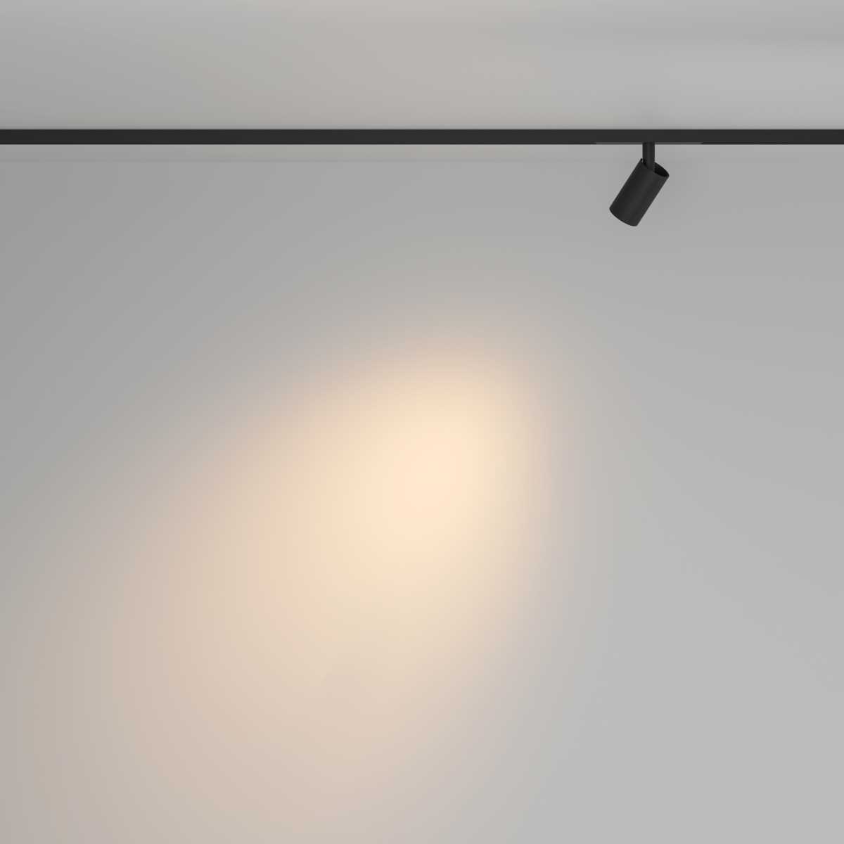 Трековый светильник Maytoni Technical TR176-1-5WTW-M-B