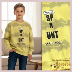 Свитшот трикотаж м (5-10) 251214-DS529