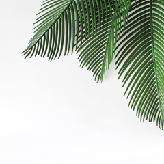 №2 Пальма, искусственная зелень, высококачественный пластик, 47 см, набор 5 шт, цвет насыщенный зеленый