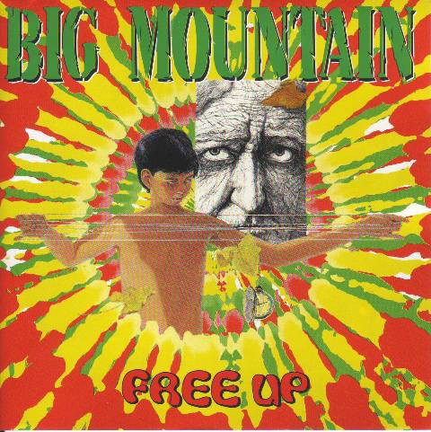 BIG MOUNTAIN: Free Up