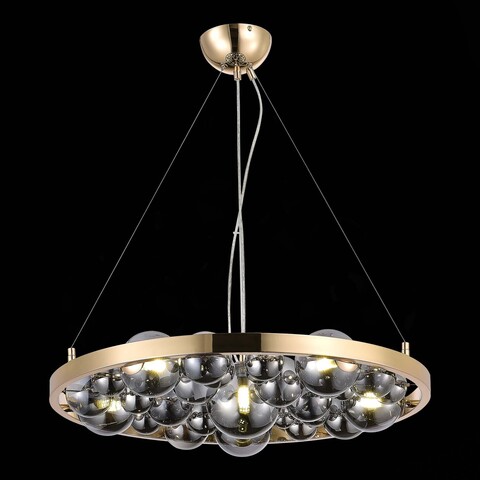 Люстра подвесная ST Luce Olmi SL1510.203.06