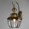 Уличный светильник Arte Lamp Vitrage A7823AL-1AB