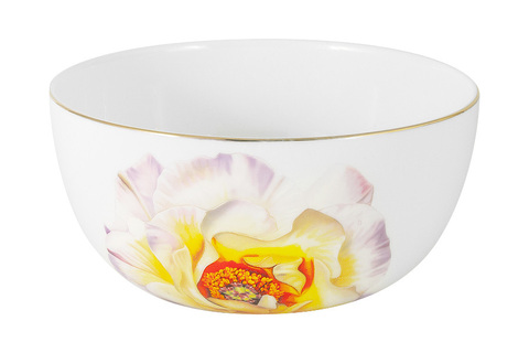 Салатник 14см Anna Lafarg Emily Kamelia