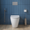 Унитаз безободковый приставной BelBagno SFERA-R BB2141CBR