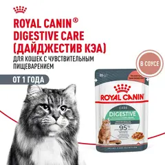 Royal Canin Digestive Care влажный корм для кошек с расстройствами пищеварительной системы 85г