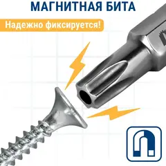 Бита отверточная ПРАКТИКА Профи Torx Tamper-27 х 25мм (2шт) (776-393)