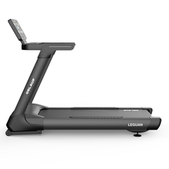 Беговая дорожка Orlauf Leguan