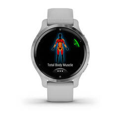 Смарт часы Garmin Venu 2S, Silver