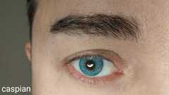 Bollena™ - CASPIAN